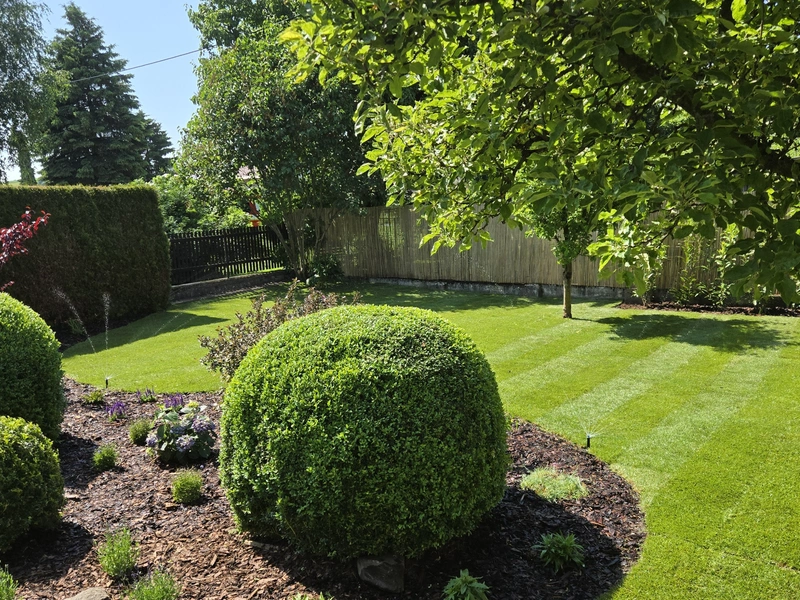 Tvarovaný buxus a trávník